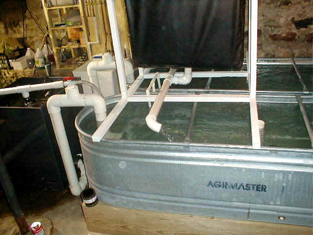 p9010025.jpg (81026 bytes)